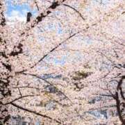 ヒメ日記 2026/04/03 12:23 投稿 ろみみ ばつぐん素人プロダクション