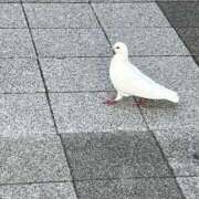 ヒメ日記 2026/04/05 18:17 投稿 ろみみ ばつぐん素人プロダクション