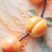 ヒメ日記 2026/04/18 17:21 投稿 南りょうな HYPER TOKYO