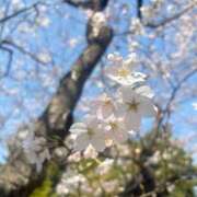 ヒメ日記 2026/03/30 10:26 投稿 かずは 新小岩デリヘル ラブセレクション