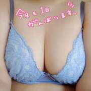 ヒメ日記 2026/03/06 11:41 投稿 ゆうか 奥様特急長岡店