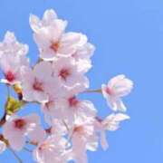 かげつ 明日♪14時から 熟女の風俗最終章 池袋店