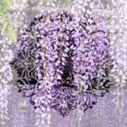 ヒメ日記 2026/04/21 15:02 投稿 かげつ 熟女の風俗最終章 池袋店