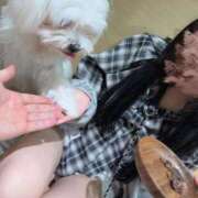 ヒメ日記 2026/04/04 23:26 投稿 まあ 秋葉原コスプレ学園in仙台