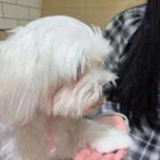 ヒメ日記 2026/04/18 14:33 投稿 まあ 秋葉原コスプレ学園in仙台