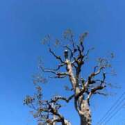 ヒメ日記 2026/03/11 15:31 投稿 姫（ひめ） 松戸デリヘル　熟女ヘブン