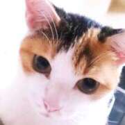 れのあ 日程調整中！ PHANTOM(ファントム)