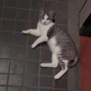 ヒメ日記 2026/03/05 03:48 投稿 みあ 女の子がセルフで撮影する店！！成田デリヘル『生パネル』伝説