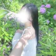 ヒメ日記 2026/07/31 11:33 投稿 せいら☆透明感抜群の超絶美女 Hills Premier