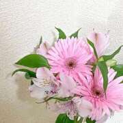 ヒメ日記 2026/04/07 20:17 投稿 詩寧(しずね) 人妻出逢い会 百合の園 山の手本店