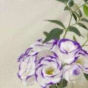 詩寧(しずね) 🐰🫧 人妻出逢い会 百合の園 山の手本店