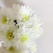 詩寧(しずね) 🐰🫧 人妻出逢い会 百合の園 山の手本店