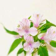 詩寧(しずね) 🐰🫧 人妻出逢い会 百合の園 山の手本店