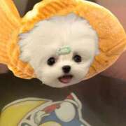 ヒメ日記 2026/03/31 09:51 投稿 れのあ 水戸女学院PTA