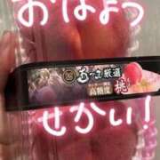 ヒメ日記 2026/09/09 09:49 投稿 れのあ 水戸女学院PTA