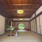 ヒメ日記 2026/04/06 09:06 投稿 しゅな 品川ミセスアロマ（ユメオト）