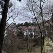 ヒメ日記 2026/04/08 17:14 投稿 しゅな 品川ミセスアロマ（ユメオト）