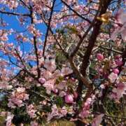 ヒメ日記 2026/03/12 14:05 投稿 ノア～NOA シャトールージュ(片山津温泉)