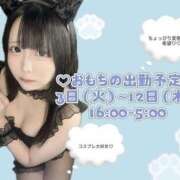 ヒメ日記 2026/03/13 04:57 投稿 おもち フロンティア