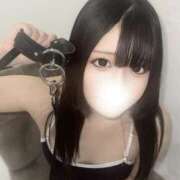 おもち 首輪にハマってみない？💕 フロンティア