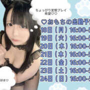 ヒメ日記 2026/05/16 13:51 投稿 おもち フロンティア