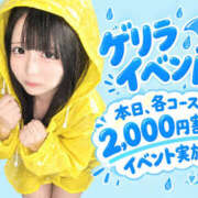 おもち ☔️オトクなイベント☔️ フロンティア