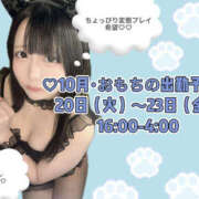 ヒメ日記 2026/10/20 15:06 投稿 おもち フロンティア