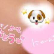 ヒメ日記 2026/03/12 04:08 投稿 ウミウシ　海牛 女の子市場