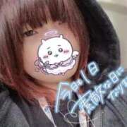 ヒメ日記 2026/04/07 15:18 投稿 ウミウシ　海牛 女の子市場