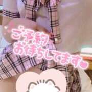 ヒメ日記 2026/04/14 02:38 投稿 ウミウシ　海牛 女の子市場