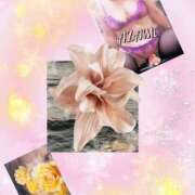 ヒメ日記 2026/03/07 01:03 投稿 森高あざみ 五十路マダム 沼津店(カサブランカグループ)