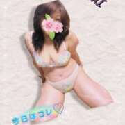 ヒメ日記 2026/03/08 09:47 投稿 森高あざみ 五十路マダム 沼津店(カサブランカグループ)