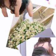 ヒメ日記 2026/03/17 06:45 投稿 森高あざみ 五十路マダム 沼津店(カサブランカグループ)