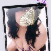 ヒメ日記 2026/03/28 07:05 投稿 森高あざみ 五十路マダム 沼津店(カサブランカグループ)