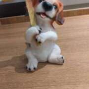 わかば 明日です 池袋おかあさん