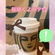 ヒメ日記 2026/03/12 22:56 投稿 栞里 出会い系人妻ネットワーク 上野〜大塚編