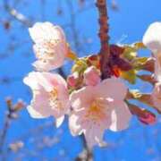 ヒメ日記 2026/03/27 10:30 投稿 栞里 出会い系人妻ネットワーク 上野〜大塚編