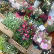 ヒメ日記 2026/04/23 10:30 投稿 栞里 出会い系人妻ネットワーク 上野〜大塚編