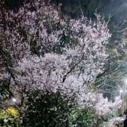 ヒメ日記 2026/03/19 11:47 投稿 芽花(めいか) 人妻出逢い会 百合の園 山の手本店