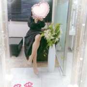 ヒメ日記 2026/04/06 12:07 投稿 芽花(めいか) 人妻出逢い会 百合の園 山の手本店