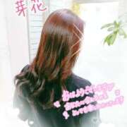 ヒメ日記 2026/04/17 09:27 投稿 芽花(めいか) 人妻出逢い会 百合の園 山の手本店