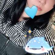 ヒメ日記 2026/03/12 08:18 投稿 そう サンキュー沼津店（サンキューグループ）