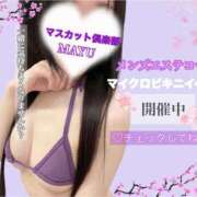 ヒメ日記 2026/03/16 22:51 投稿 まゆ オナクラ マスカット倶楽部