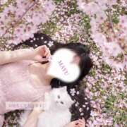 ヒメ日記 2026/04/08 11:08 投稿 まゆ オナクラ マスカット倶楽部