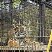 ヒメ日記 2026/03/06 13:02 投稿 あかり AROMA LUXE PLATINUM 宮崎