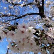 ヒメ日記 2026/03/27 15:40 投稿 佐々木雪乃 五十路マダムエクスプレス豊橋店（カサブランカグループ）