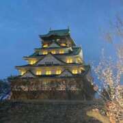 ヒメ日記 2026/04/01 07:58 投稿 佐々木雪乃 五十路マダムエクスプレス豊橋店（カサブランカグループ）