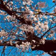 ヒメ日記 2026/04/01 18:28 投稿 佐々木雪乃 五十路マダムエクスプレス豊橋店（カサブランカグループ）