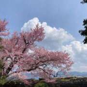 ヒメ日記 2026/04/03 13:42 投稿 佐々木雪乃 五十路マダムエクスプレス豊橋店（カサブランカグループ）