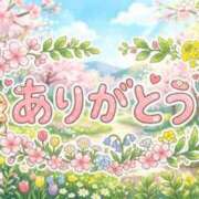 ヒメ日記 2026/04/13 13:10 投稿 佐々木雪乃 五十路マダムエクスプレス豊橋店（カサブランカグループ）